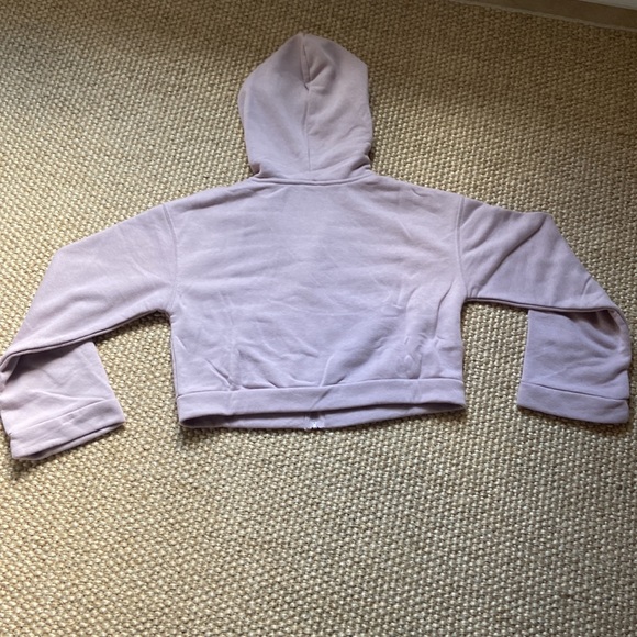 I am selling a Pacsun Cropped Zip Up Hoodie. - Picture 3 of 5
